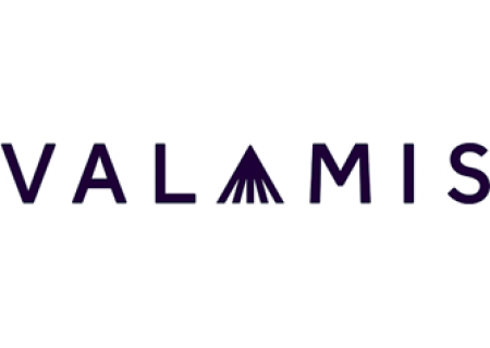 Valamis Group